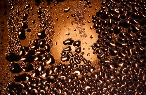 On window at sunrise Print