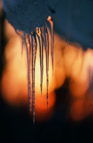 Icicles at sunrise Print