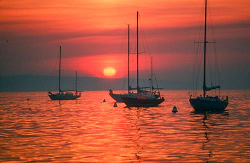 South West Harbor Print