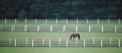 Winter Place Farm Print