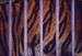 Bengal Tiger in cage