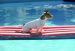 Jack Russell Terrier on pool raft